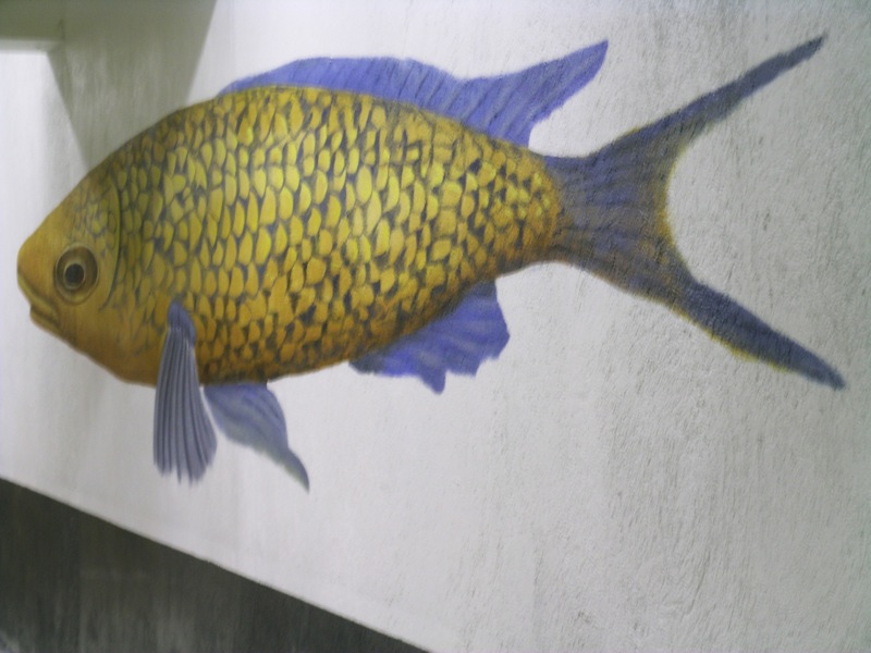 Poisson peint en anamorphose sur l'angle d'un mur.
