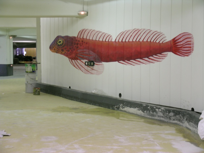Blennie (poisson benthique). Anamorphose. Parc de stationnement Saint Charles de Marseille.