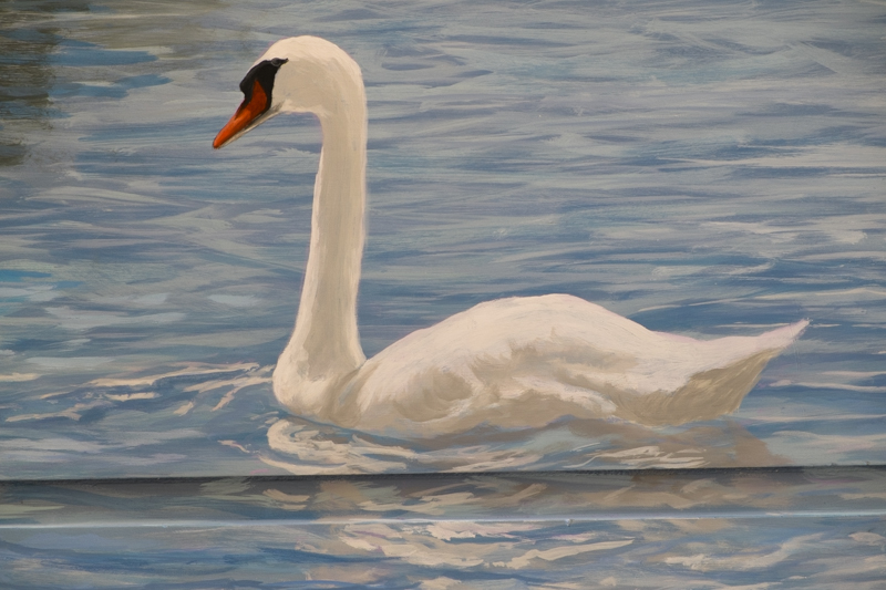 Cygne sur le lac d’Enghien-les-Bains